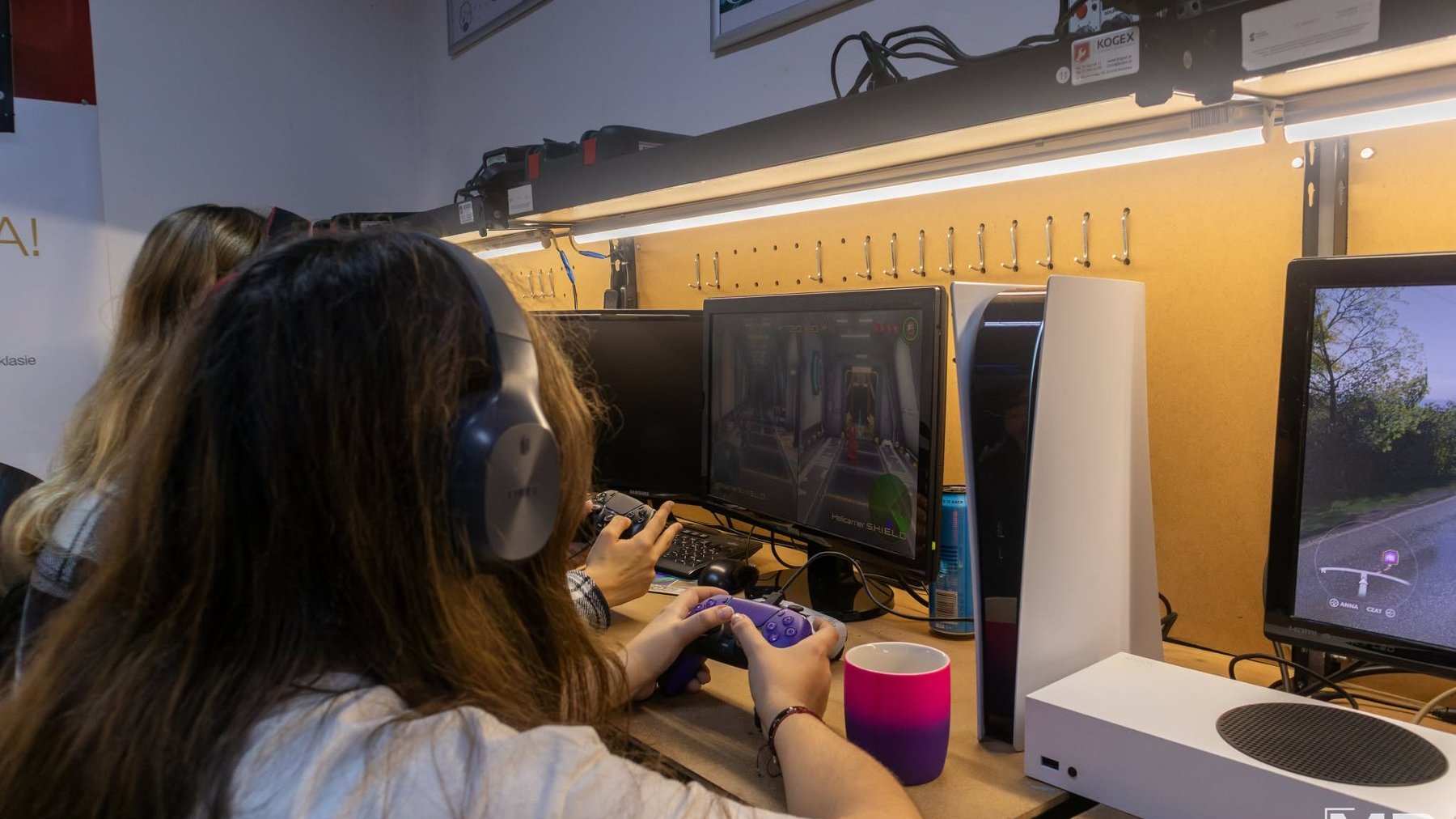 Na grafice znajduje się osoba grająca na komputerze