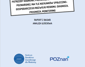 Plany edukacyjno-zawodowe młodzieży
