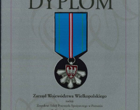 Różowe i grafitowe skrzyneczki oraz Odznaka Honorowa dla ZSPS